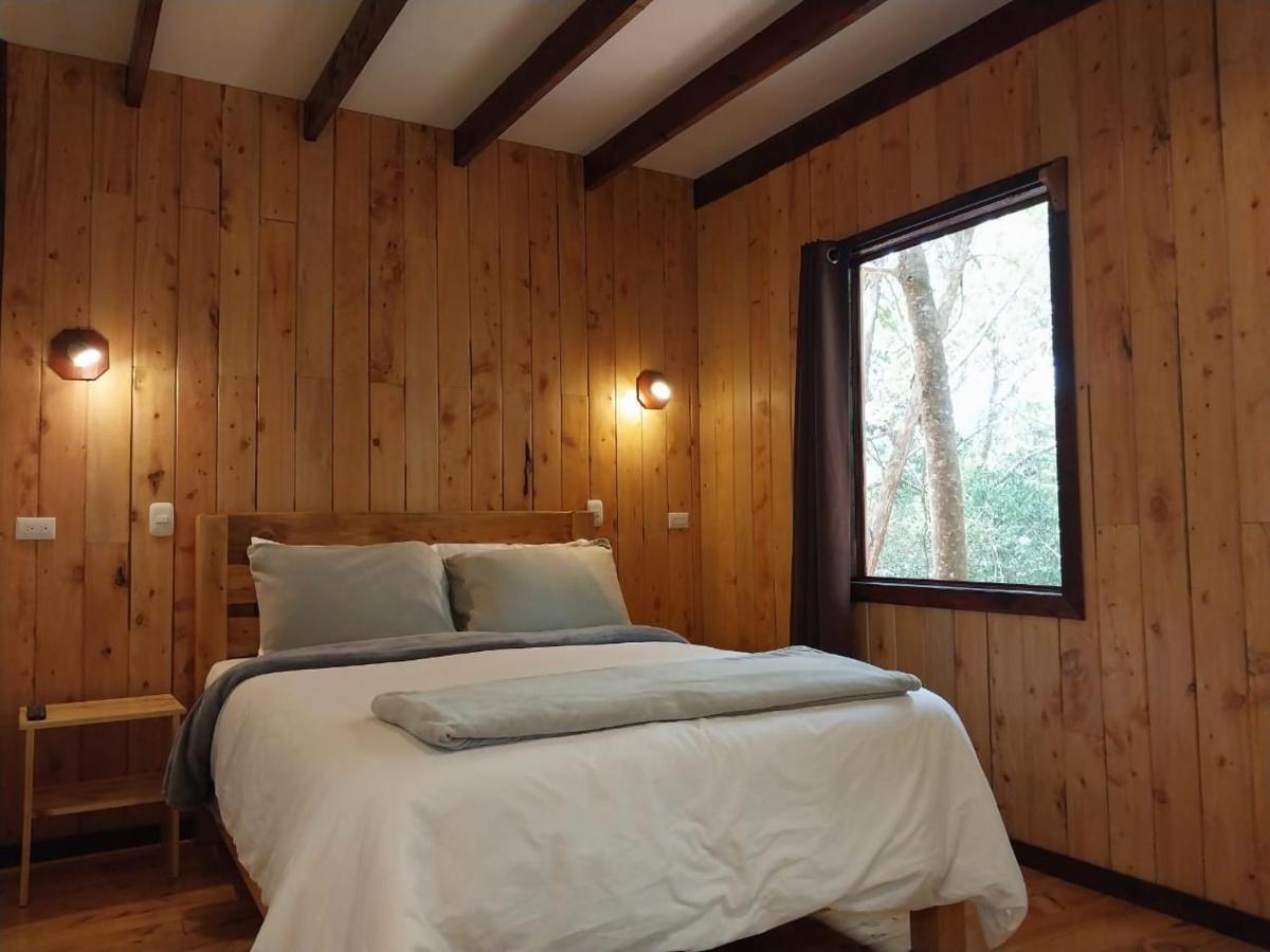 Curuba Lodge Copey Kültér fotó