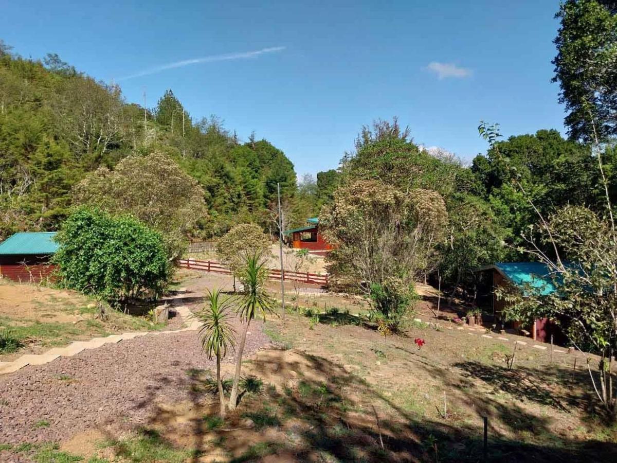 Curuba Lodge Copey Kültér fotó