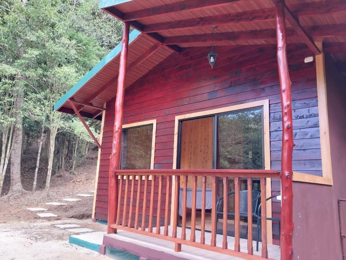 Curuba Lodge Copey Kültér fotó