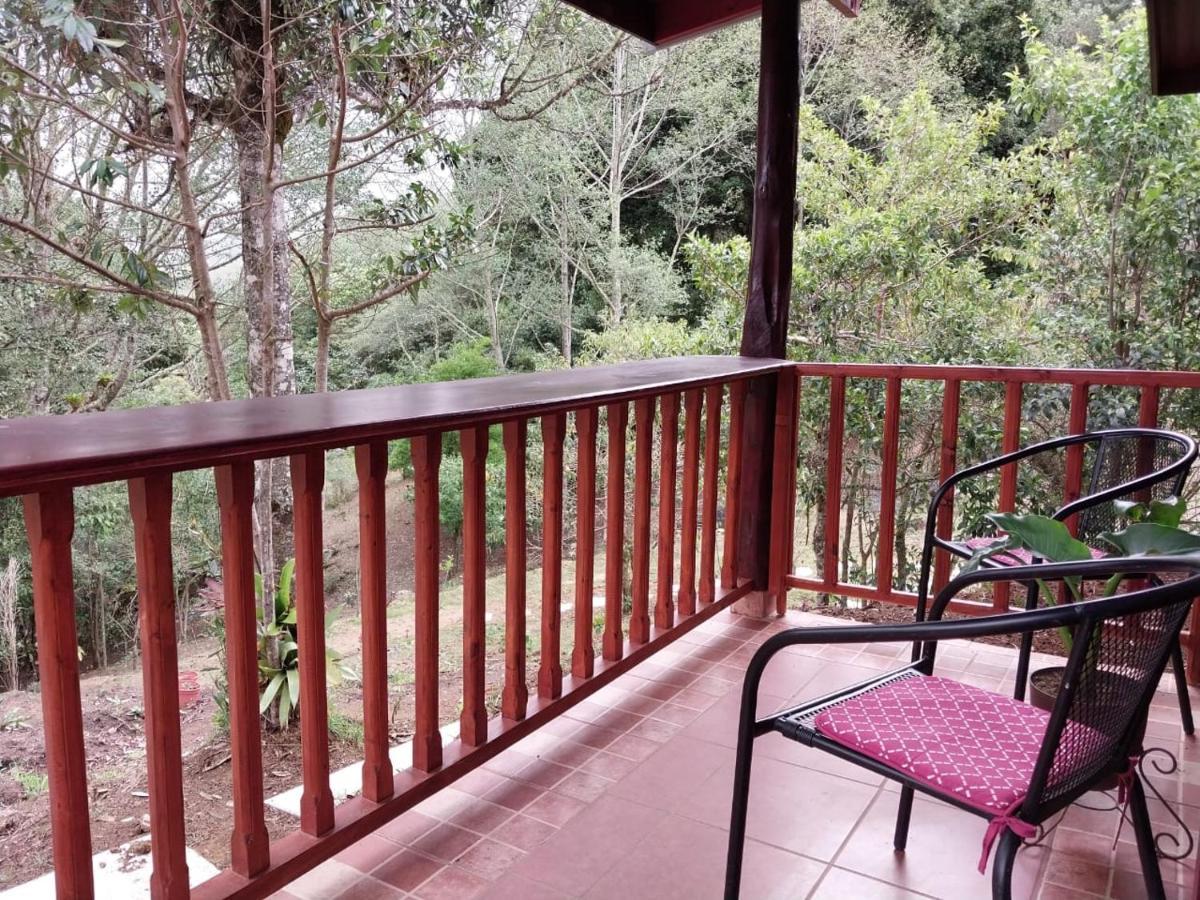 Curuba Lodge Copey Kültér fotó
