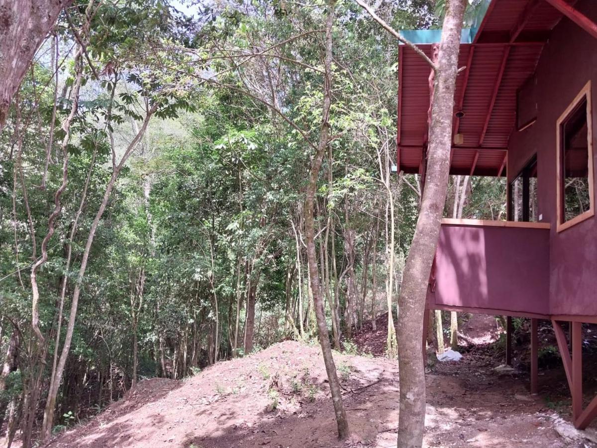 Curuba Lodge Copey Kültér fotó