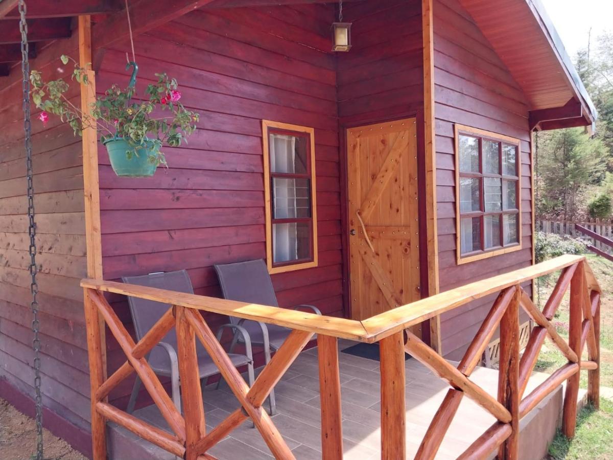 Curuba Lodge Copey Kültér fotó