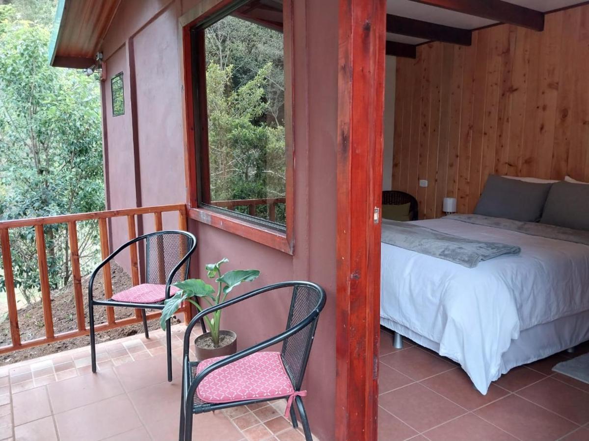 Curuba Lodge Copey Kültér fotó