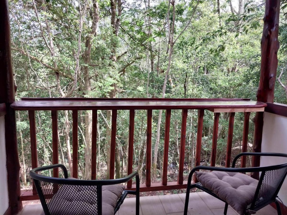 Curuba Lodge Copey Kültér fotó