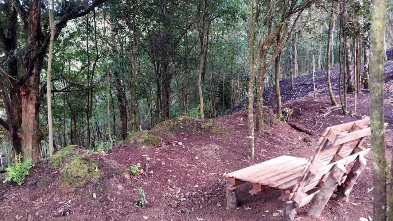 Curuba Lodge Copey Kültér fotó