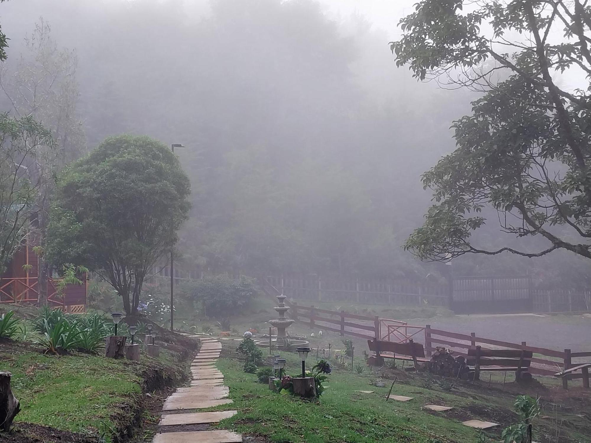 Curuba Lodge Copey Kültér fotó