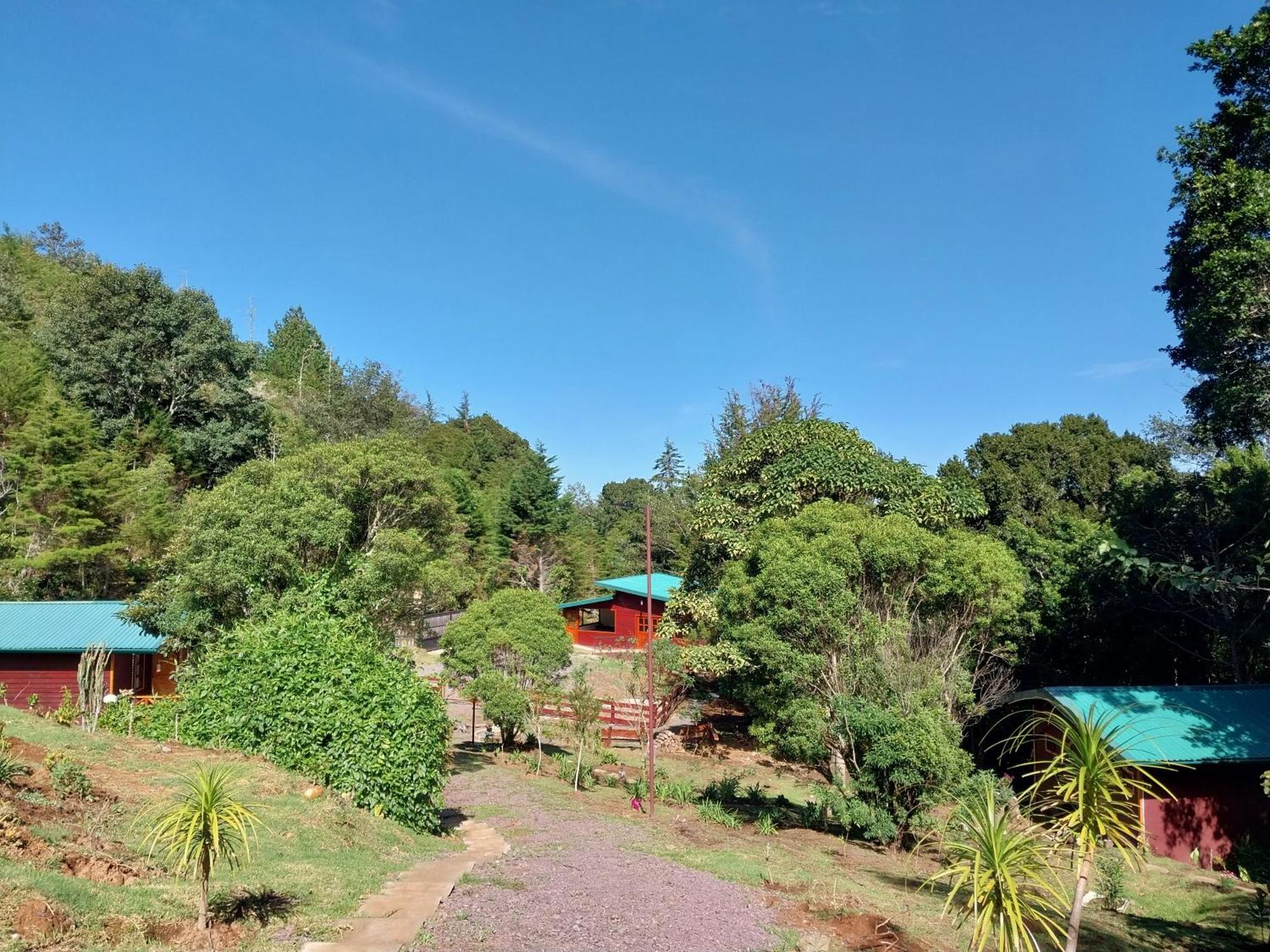 Curuba Lodge Copey Kültér fotó