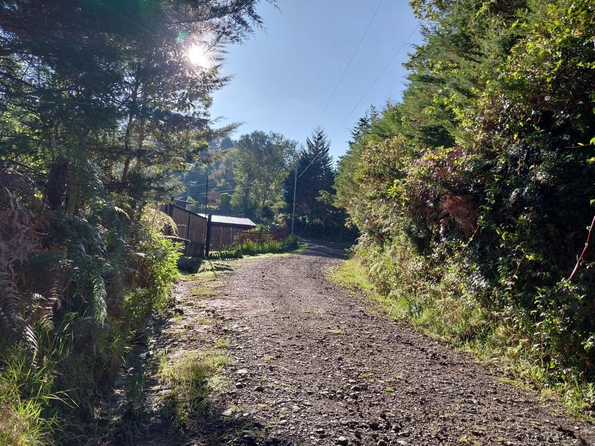 Curuba Lodge Copey Kültér fotó