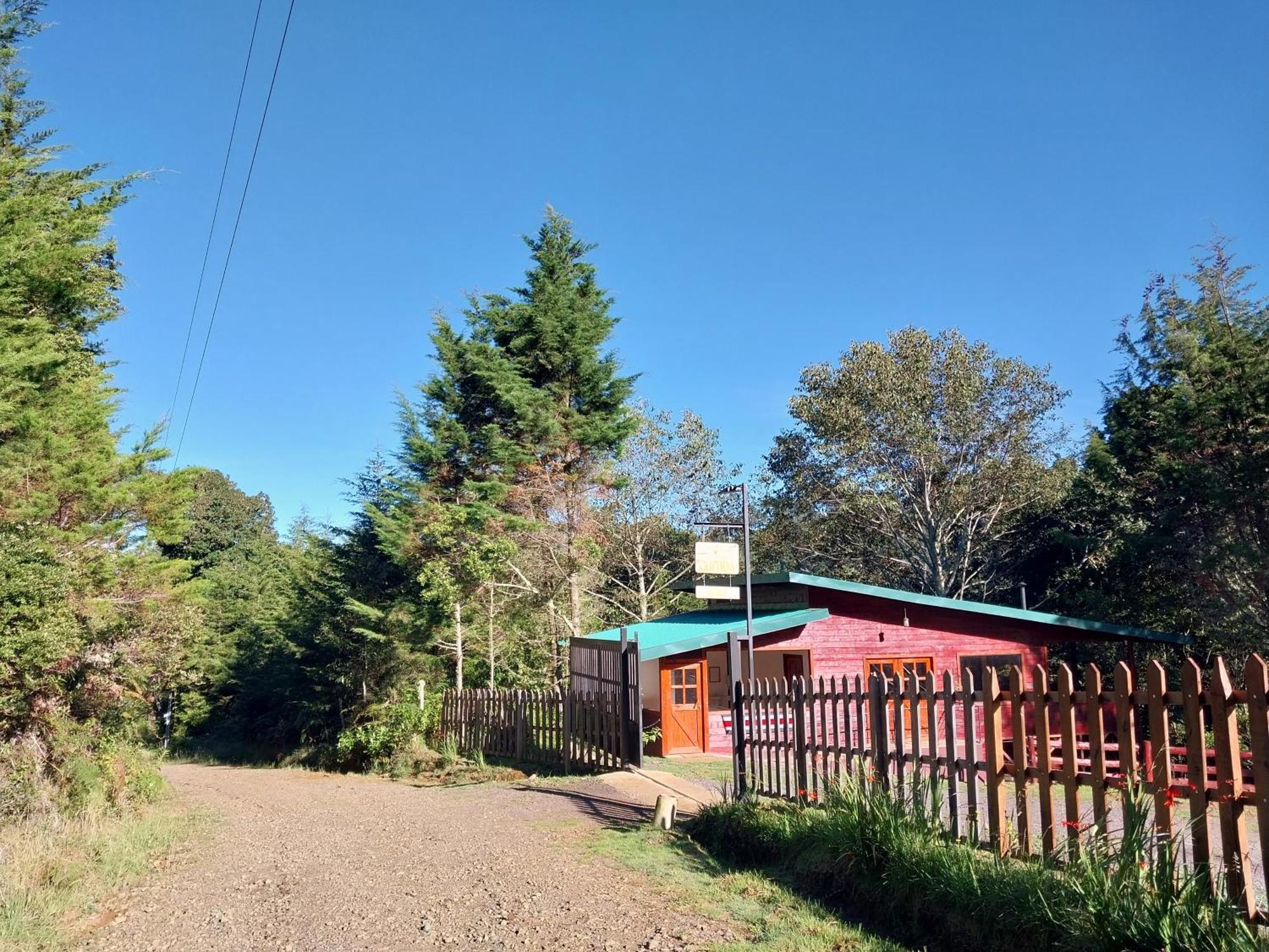 Curuba Lodge Copey Kültér fotó