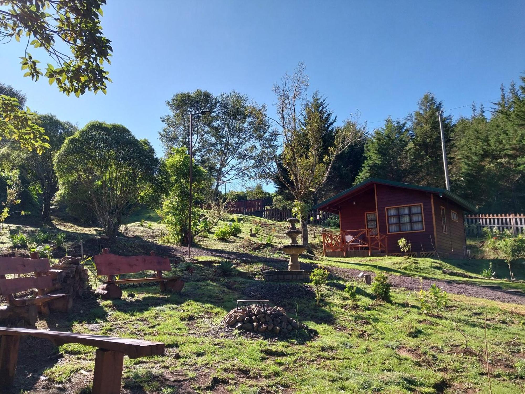Curuba Lodge Copey Kültér fotó