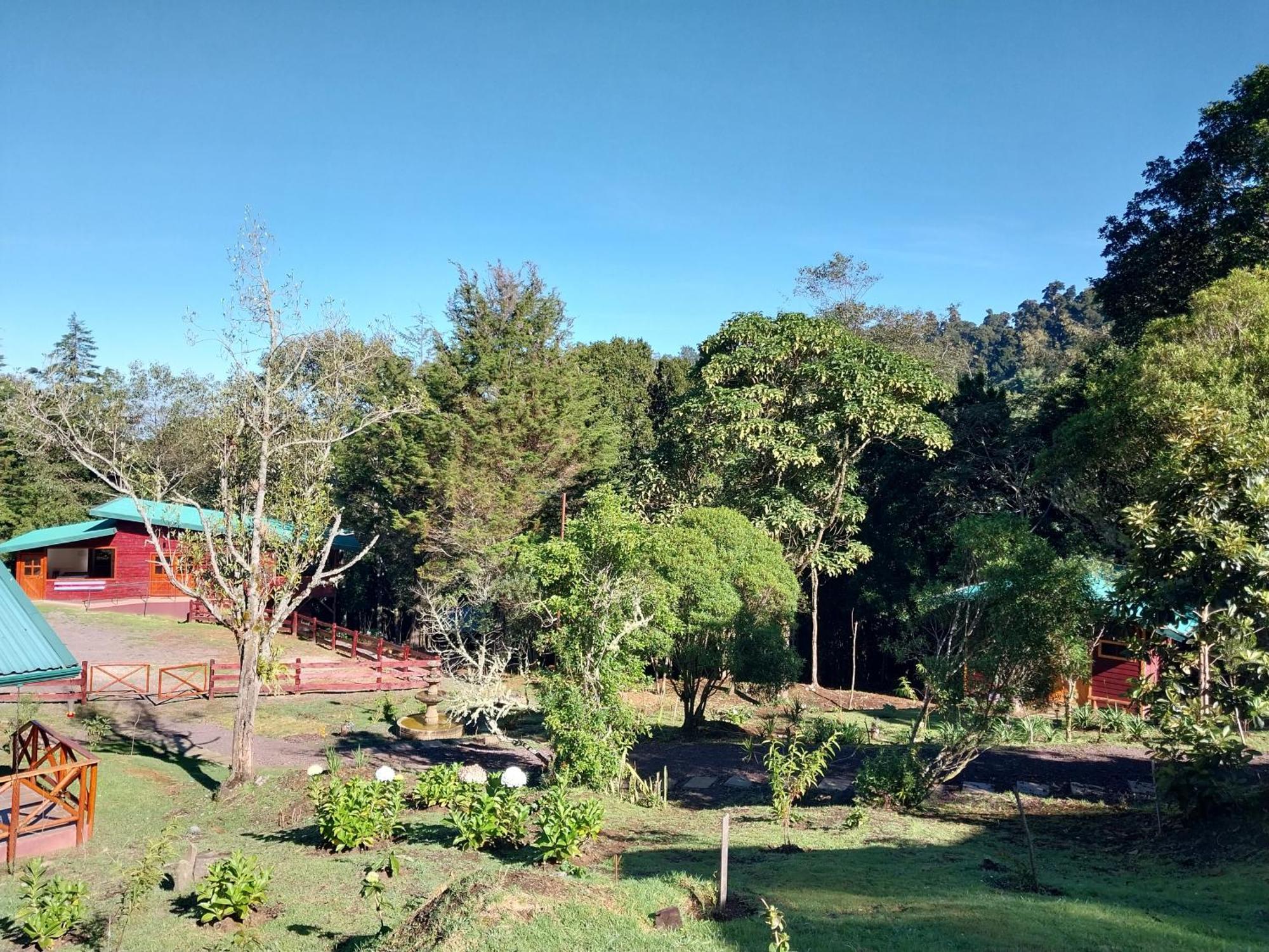 Curuba Lodge Copey Kültér fotó
