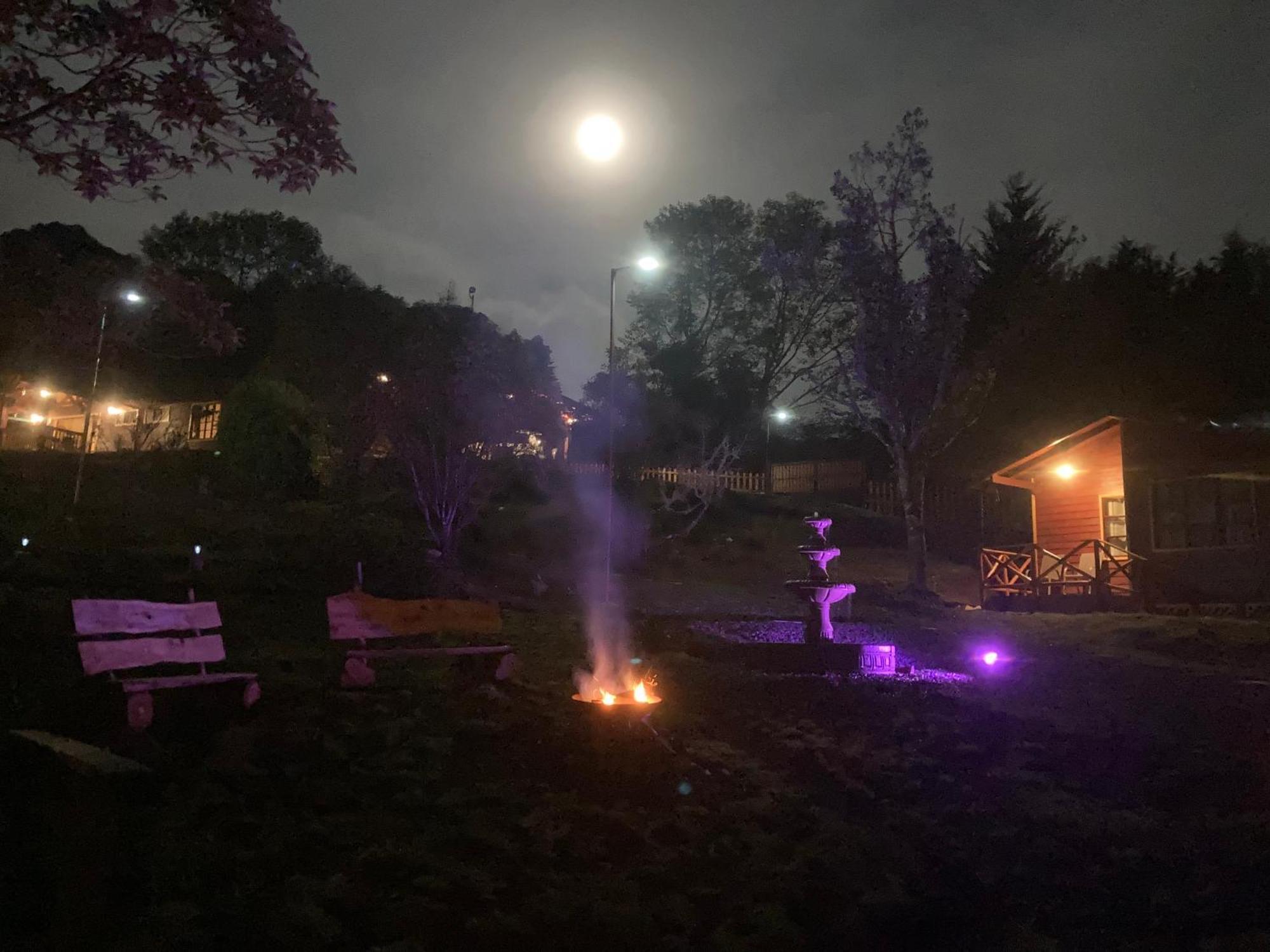 Curuba Lodge Copey Kültér fotó
