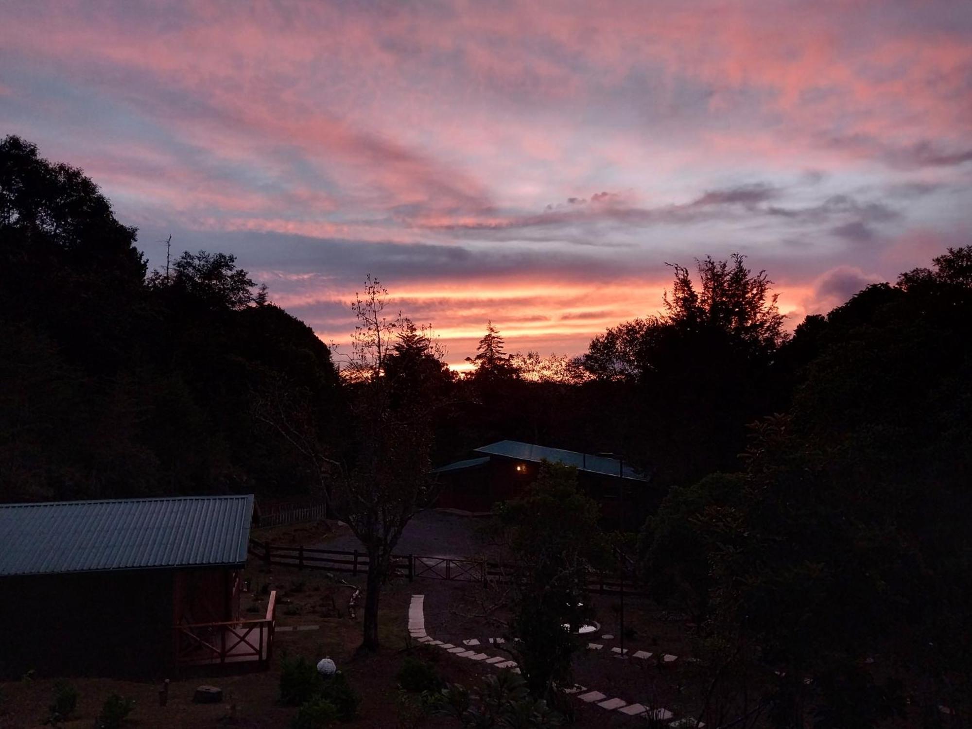 Curuba Lodge Copey Kültér fotó