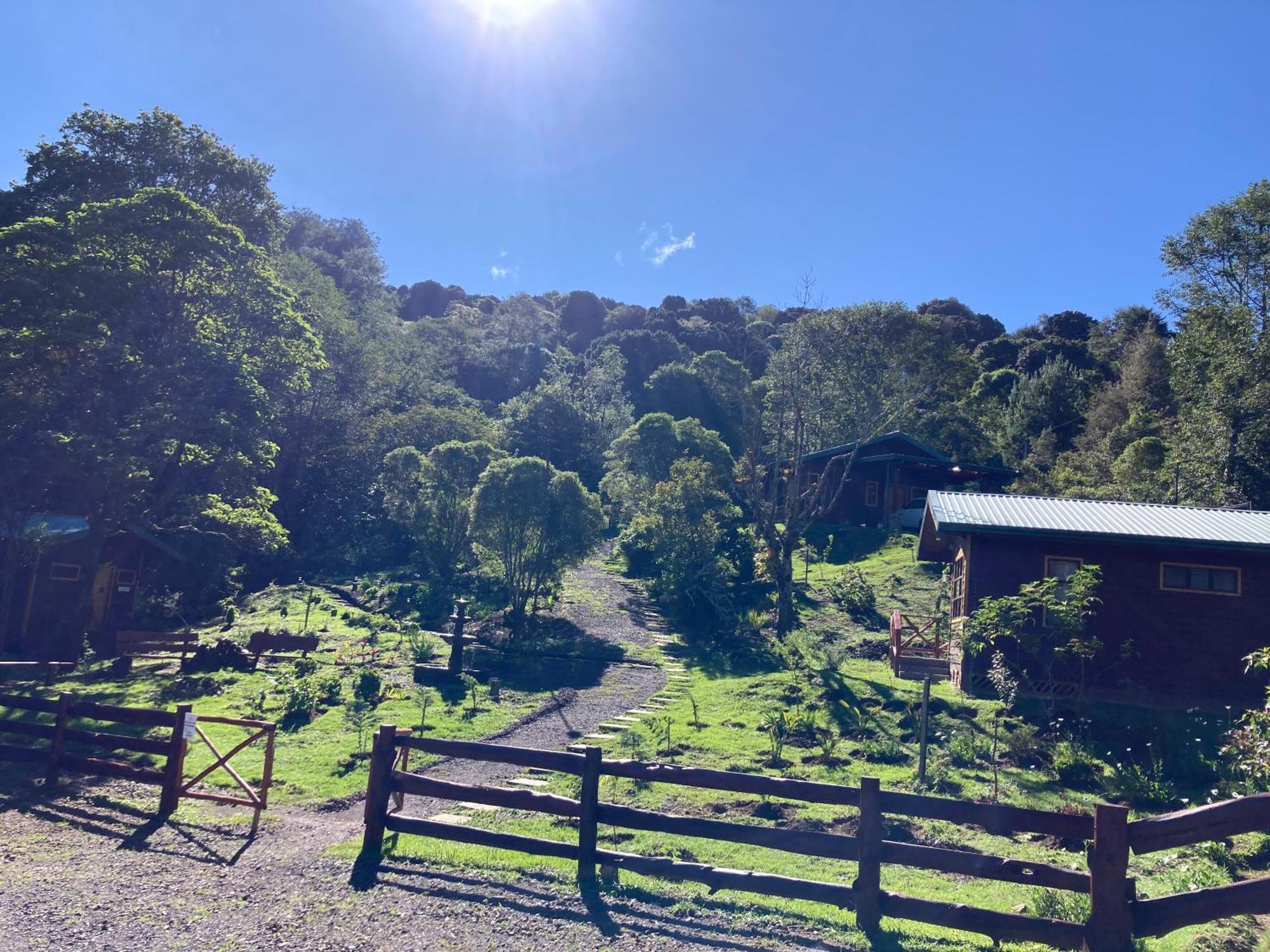 Curuba Lodge Copey Kültér fotó