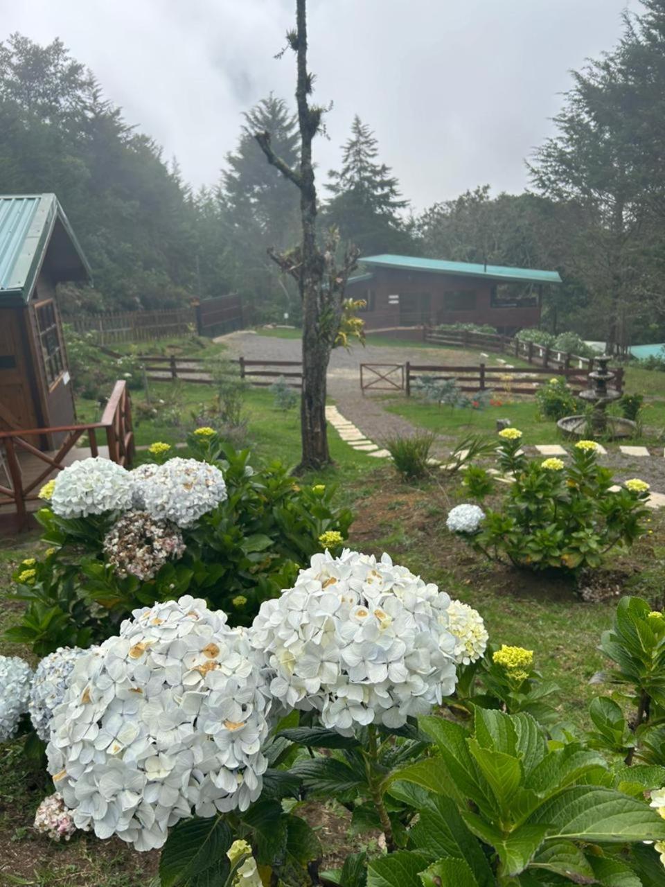 Curuba Lodge Copey Kültér fotó