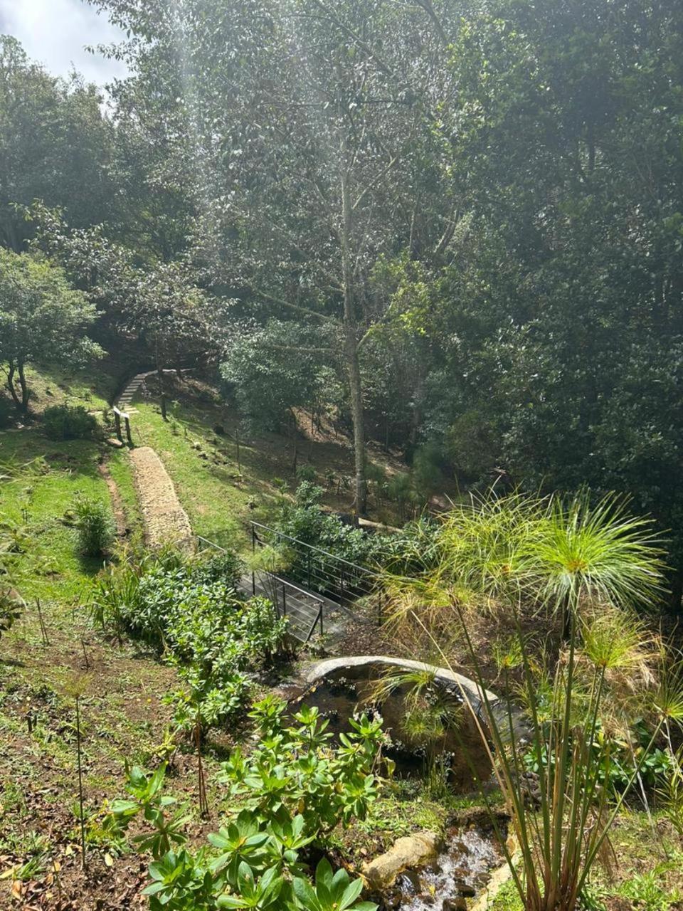 Curuba Lodge Copey Kültér fotó