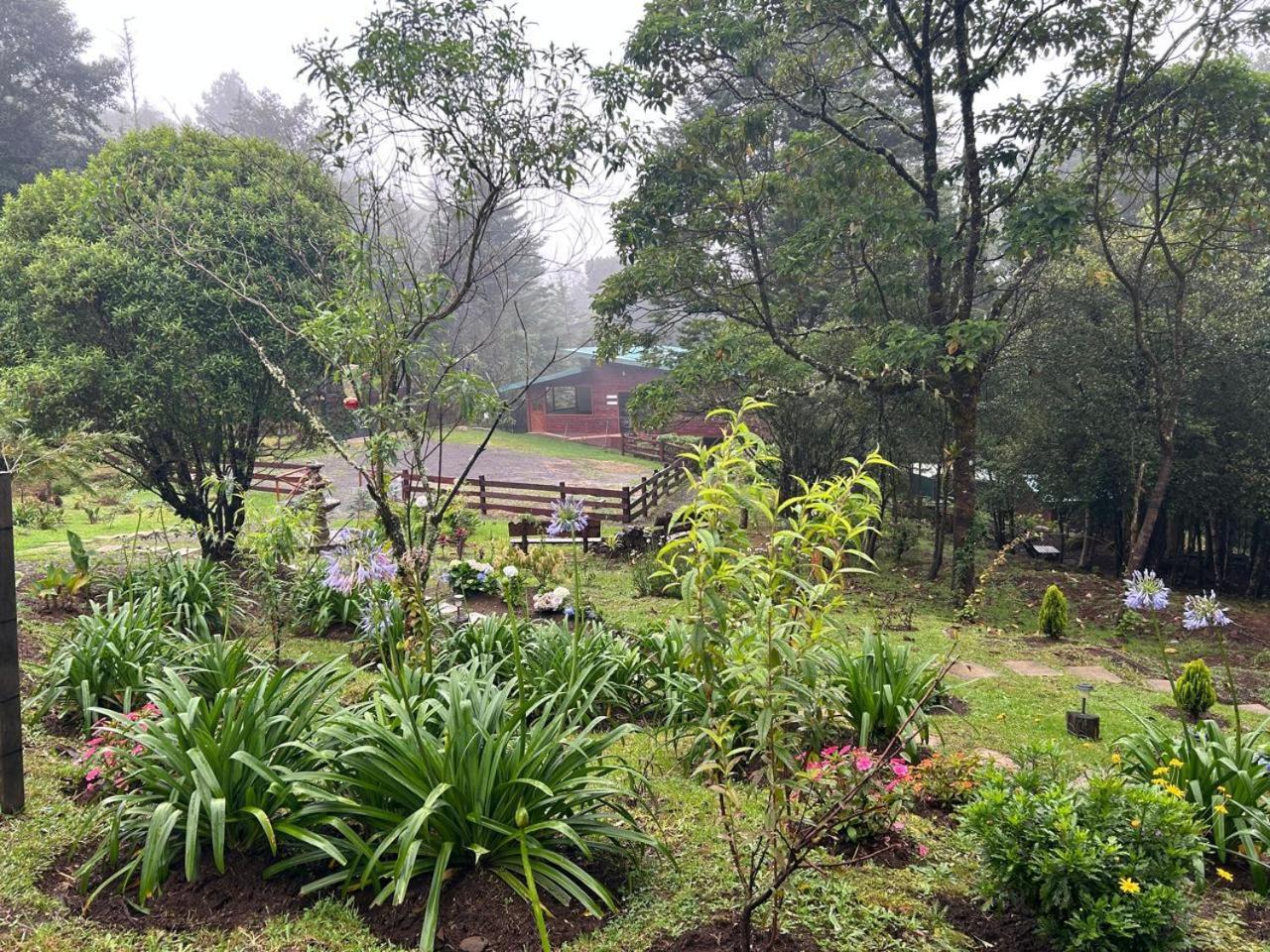 Curuba Lodge Copey Kültér fotó