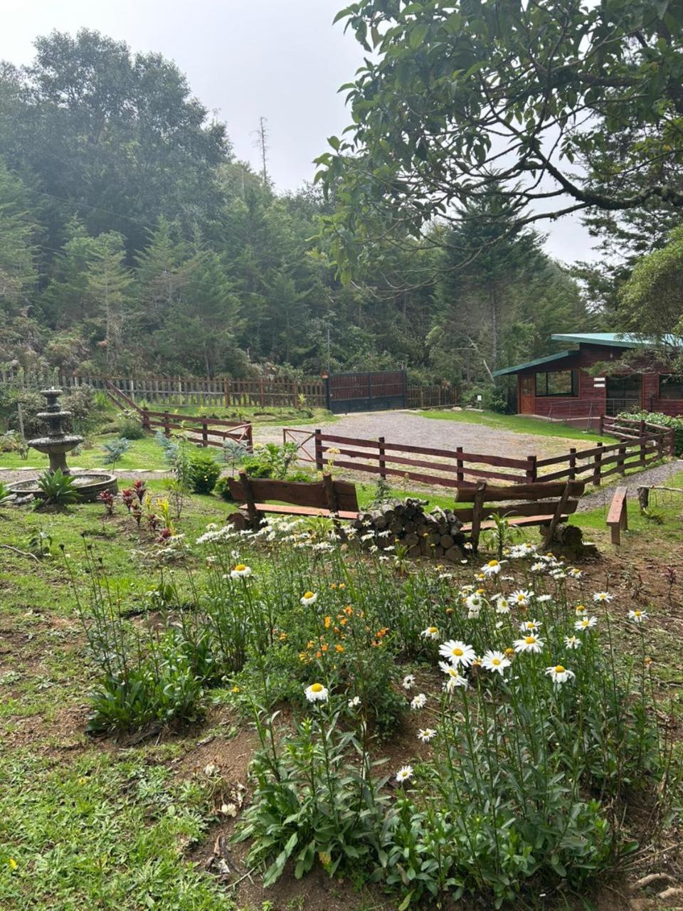 Curuba Lodge Copey Kültér fotó