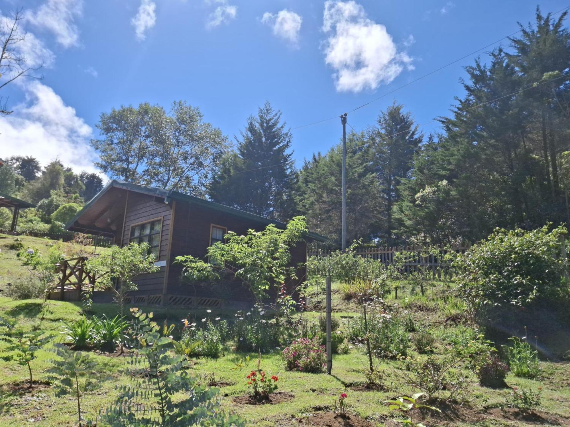 Curuba Lodge Copey Kültér fotó