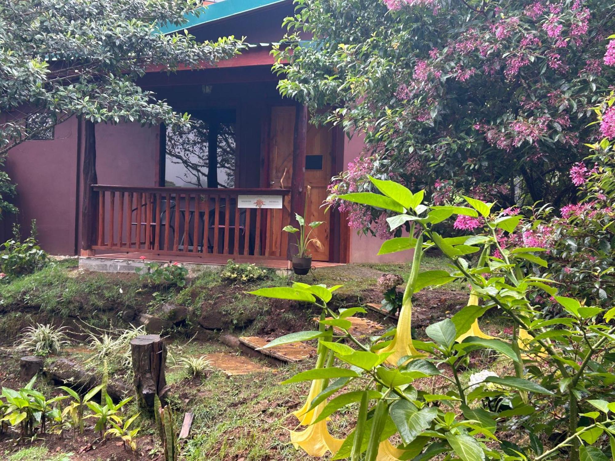 Curuba Lodge Copey Kültér fotó