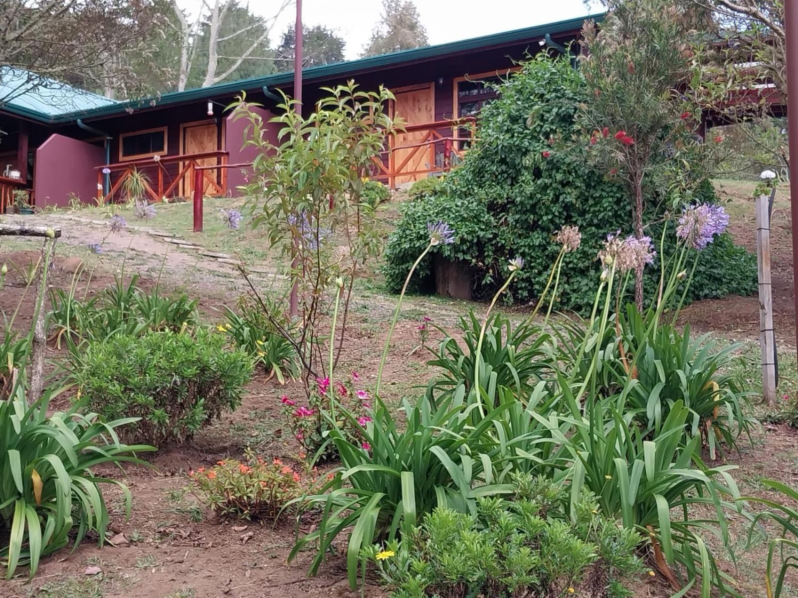 Curuba Lodge Copey Kültér fotó
