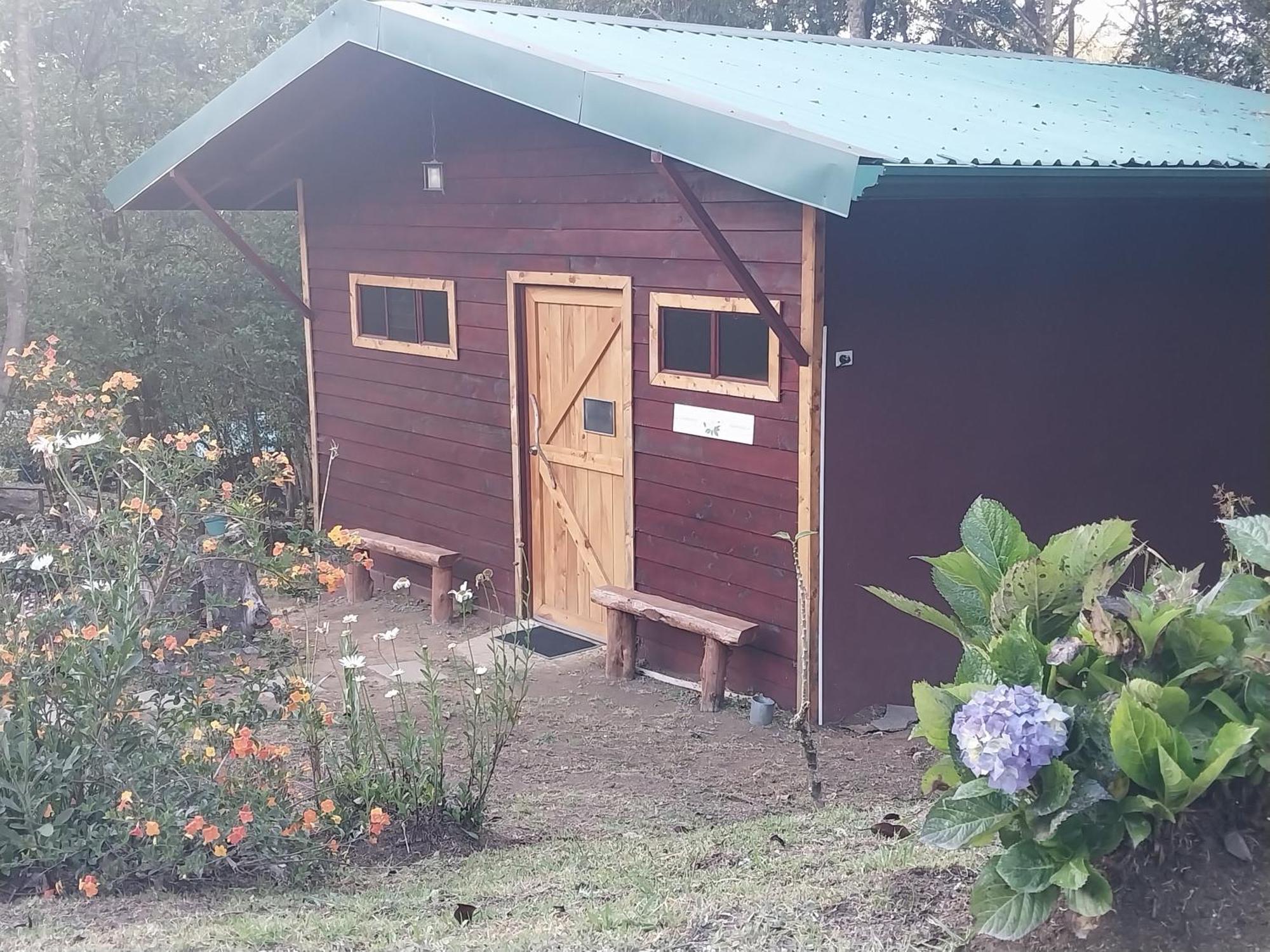 Curuba Lodge Copey Kültér fotó